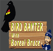 Bird Banter podcast logo.