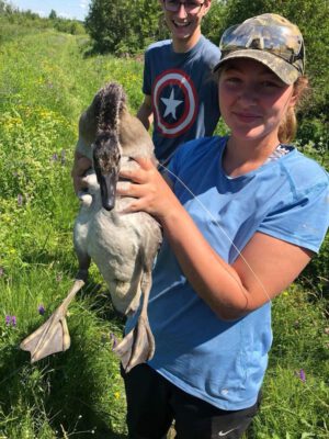 Marsh volunteer holding a duck.