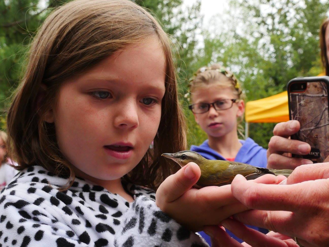 Little girl looking at a hummingbird at the annual garden party.