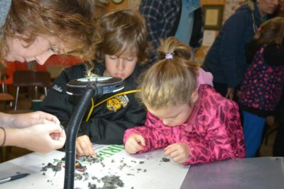 a little girl taking part in an owl banding night.